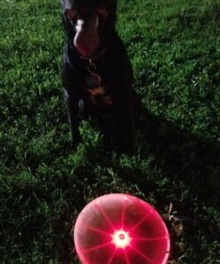 Nite Ize Flashflight LED Light Up Flying Disc Replaceable Batteries Blue 28 61BzJRkMw5L