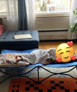 Regalo My Cot Portable Toddler Bed, Includes Fitted Sheet, Royal Blue , 48x24x9 Inch (Pack of 1) 37 61CAEzQLOVL