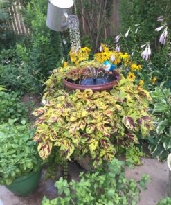 SKY CANDYBAR Acrylic Crystal Bead Hanging Strand Manzanita Trees Wedding Centerpiece Decor 12pcs 19 61CBqvpUy3L