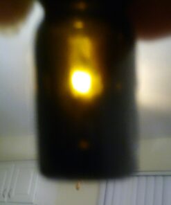 Wild Essentials 5ml Amber Glass Bottles with Euro Dropper Caps (12 Pack) - Great for Essential Oils, Perfumes and DIY Aromatherapy - Easy to Fill, Clean and Reuse - Protective and Durable 5ml-Pack of 12 23 61CI8vACwKL