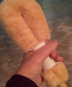 Ginger Chi Dry Brush for Skin, Dry Brushes for Body - Natural Bristle Brush for Dry Brushing Skin (Sisal Dry Brush) 22 61CMOUihutL