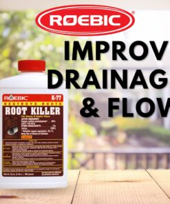 Roebic K-77 Root Killer for Sewer and Septic Systems, Clears Pipes and Stops New Growth, Safe for All Plumbing 13 61CZeOQ2pHL