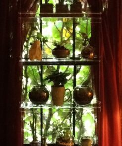 Beautiful Views Hanging Window Plant Shelves (4 Shelves) 4 Shelves 20"x6"x54" 45 61Ck4s574gL