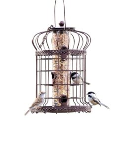 Gardener's Supply Company Edwardian Cage Bird Feeder | Sturdy Squirrel-Proof Outdoor Hanging Hummingbird Feeder with 6 Feeding Ports | Best for Finches & Other Small Birds 9 61CoguvasL