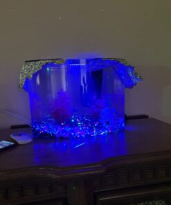 GloFish Aquarium Fish Tank Kits, Includes Fish Tank Decorations and LED Lighting, Tetra Filter and Water Conditioner 5-gallon crescent kit 41 61CsJjbmyUL