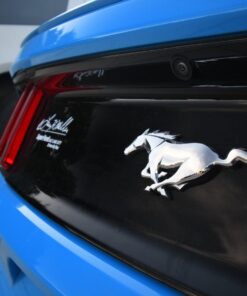 72MM Lens Filter Kit by Altura Photo, Includes 72MM ND Filter, 72MM CPL Filter, 72MM UV Filter, (UV, Polarizer Filter, Neutral Density ND4) for Camera Lens w 72MM Filter + Lens Filter Case 33 61CsfRcQIVL