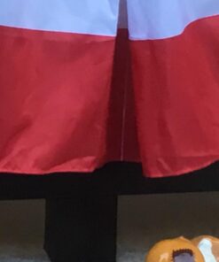 Anley USA Pleated Fan Flag, 3x6 Feet American US Bunting Flags Patriotic Stars & Stripes - Sharp Color and Fade Resistant - Canvas Header and Brass Grommets - United States 3 x 6 Feet Half Fan Banner 3x6 Ft 1pc 28 61CzvpNAGvL