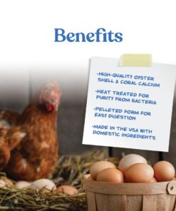 Manna Pro Crushed Oyster Shell Calcium Supplement For Laying Chickens - Poultry Treat - 5 lbs. 5 Pound (Pack of 1) 30 61D5RxZU 2L