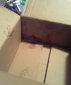 NOW Essential Oils, Cypress Oil, Balancing Aromatherapy Scent, Steam Distilled, 100% Pure, Vegan, Child Resistant Cap, 1-Ounce 35 61DBjvrh8mL