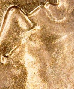 Jiusion WiFi USB Digital Handheld Microscope, 50 to 1000x Wireless Magnification Endoscope 8 LED Mini Camera with Metal Stand Compatible with iPhone iPad Mac Windows Android 59 61DE7LF7X5L