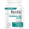Kyolic Aged Garlic Extract Formula 250, Cardiovascular Health, One Per Day, 60 Vegan Capsules (Packaging May Vary) 60 Count (Pack of 1) 14 61DEfJ82fHL