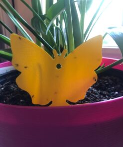 Trappify Sticky Gnat Traps for House Indoor - Yellow Fruit Fly Traps for Indoors/Outdoor Plant - Insect Catcher White Flies, Mosquitos, Fungus Gnat Trap, Flying Insects - Disposable Glue Trapper (12) 12 51 61DHJMYwFfL