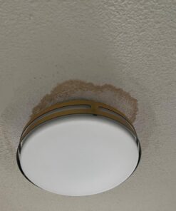 Zinnser 03688 Covers Up Stain Sealing Ceiling Paint, White 13 Ounce (Pack of 1) Spray Can 41 61DISvPt YL