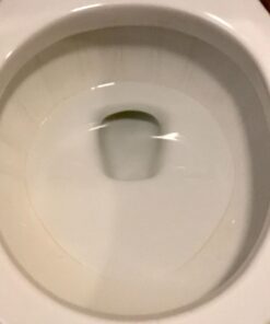 PUMIE Toilet Bowl Ring Remover, TBR-6, Grey Pumice Stone with Handle, Removes Unsightly Stains from Toilets, Sinks, Tubs, Showers, Pools, Safe for Porcelain, 1 Pack 1 Count (Pack of 1) 72 61DJWg9vmJL