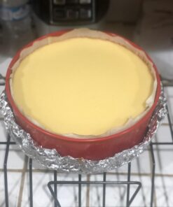 Nordic Ware 9-Inch Springform Pan, 9 Inch, Red 17 61DM9GUSEL