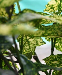 Nikon AF-S VR Micro-NIKKOR 105mm f/2.8G IF-ED Lens Lens Only 60 61DSDRd66ZL