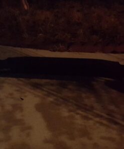 MBS All-Terrain Longboard, 39" 60 61DWHV2zUxL