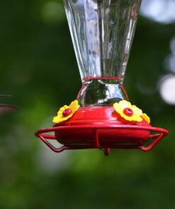 Nikon 200-500mm f/5.6E ED AF-S VR Zoom NIKKOR Lens- Bundle with 95mm Filter Kit, Flex Lens Shade, Cleaning Kit, Cap Leash, Software Package 46 61DZJftyZpL