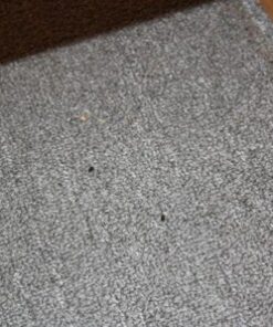 Bedlam Insecticide Spray - Kills Bed Bugs, Lice, and Dust Mites (17 oz) 10 61Day0iMeOL