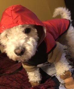 URBEST Dog Shoes with Hook Loop Closure Booties Pet Dog Chihuahua Shoes Boots, 4Pcs (5#, Brown) 5# 34 61De jluSIL