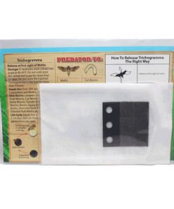 Bug Sales Trichogramma 3 Squares/ 12,000 Eggs 10 61DeBE7oYZL