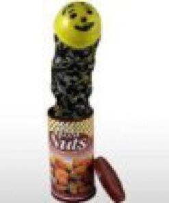 Rhode Island Novelty Snake in a Nut Can Prank-Gag