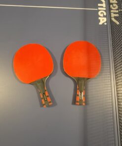 STIGA Evolution Performance Ping Pong Paddle - 6-ply Light Blade - 2mm Tournament-Approved Premium Sponge - Flared Handle for Next-Gen Grip & Control - Performance Table Tennis Racket Original Version 29 61DhEouNY4L