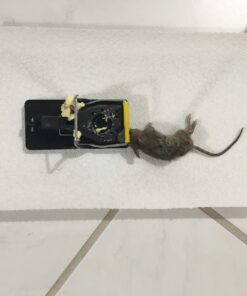 Mouse Trap Mouse Traps Indoor Mouse Traps for House Mouse Traps Outdoor Mice Traps for House Indoor 6 Pack M1-6 Packs 32 61DhVJEPJL