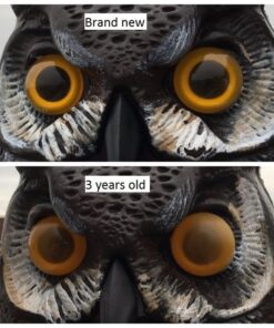 Dalen Fake Owl Decoy to Scare Birds Away from Gardens, Rooftops, and Patios - Scarecrow Provides Chemical-Free Pest Control - Safe and Humane, 16" Great Horned Owl 31 61DkB7pWvL