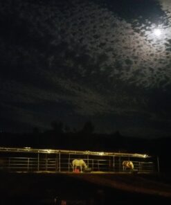 GLW® 10w 12v Ac or Dc Warm White Led Flood Light Waterproof Outdoor Lights 750lm 80w Halogen Bulb Equivalent Black Case 55 61Dm5nlX7sL