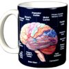 WILD COTTON Brain 11 Ounce Ceramic Coffee Mug (WC462M)
