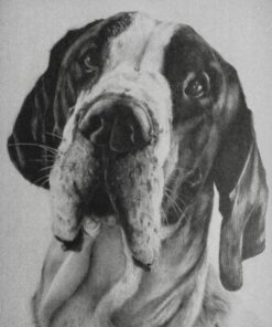 Castle Art Supplies Graphite Drawing Pencils and Sketch Set (40-Piece Kit), Complete Artist Kit Includes Charcoals, Pastels and Zippered Carry Case, Rare Pop-Up Stand 28 61DxWquagDL