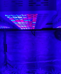 KingLED 2023 Newest 1500w LED Grow Lights with Samsung LM301B LEDs 4 * 4 ft Coverage Full Spectrum Grow Lights for Indoor Hydroponic Plants Greenhouse Growing Lamps Veg Bloom Daul Mode 40 61E04N0t48L