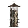 Perky-Pet 337 Squirrel-Be-Gone III Wild Bird Feeder