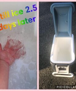 Igloo Quart MaxCold Cooler, Blue/Navy, 40 Qt 16 61E1bNqNFgL