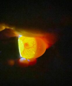 HBlife Bright Cool LED Light Egg Candler Tester for Watching Eggs Development, with 2 Soft Rubber Attachments for Eggs, Powered by Power Cord Only 23 61E23m9y0PL