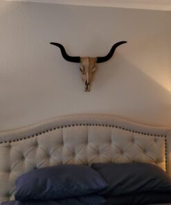 Long Horn Cow Skull Wall Hanging Longhorn Steer 37 61E5VCIbXL