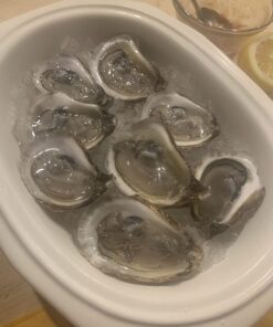 OXO Good Grips Stainless Steel Non-Slip Oyster Knife,Black/Silver 28 61E7Q4L 2oL