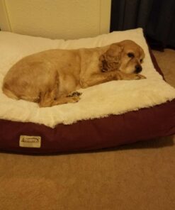 Armarkat Pet Bed Mat 28 by 22 by 5, M02HJH/MB-Medium, Ivory 28.0"L x 22.0"W x 5.0"Th 25 61EE7EyOrlL 1