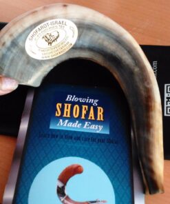 Judaica Mega Mall Kosher ODORLESS Polished Natural Rams Horn | Smooth Mouthpiece for Easy Includes Carrying Bag and Shofar Blowing Guide | Medium Size (12”-14”) (Jud-0651) 12"-14" 16 61EJgoV3ApL