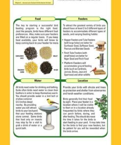 Wagner's 76029 Black Oil Sunflower Seed Wild Bird Food, 40-Pound Bag 21 61EMEOtP7WL