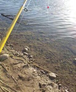 Eagle Claw Pack-It Telescopic Spinning Rod, Yellow, 5-Feet 6-Inch 18 61EOonRNFtL