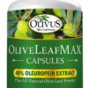 OliveLeafMAX Olive Leaf Extract (40% Oleuroepin) + Organic Olive Leaf Powder + No Fillers + 60 Vegetarian Capsules + Sourced from Spain and Manufactured in USA at GMP Facility 1 Count (Pack of 60) 19 61EQGx3LO6L