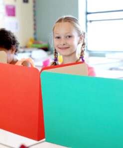 School Privacy Boards for Student Desks Students Classroom Privacy Folders Study Carrel Reduces Distractions Privacy Boards for Student Desks Test and Desk Dividers, 19 x 12 Inch (24 Pack) 24 12 61EYSyb0tzL