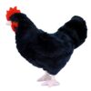 Adore 12" Standing Aussie The Hen Chicken Plush Stuffed Animal Toy 4 61EYxWRK8yL