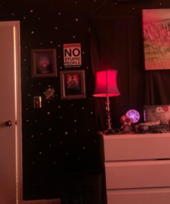 Glow in The Dark Stars Wall Stickers, Adhesive Dots and Moon for Starry Sky, Galaxy Decor Bright and Realistic for Any Room (Green) Green 49 61EZPUqKREL