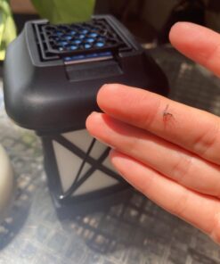 Thermacell Mosquito Repellent Lantern; No Spray Mosquito Repellent For Patios; Includes 12-Hours of Protection; DEET-Free, Scent-Free, No Flame Citronella Candle Alternative Black 19 61Eb1TmiHEL