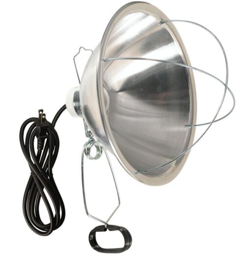 Woods Clamp Lamp with 10 Inch Reflector and Bulb Guard (300 Watt Bulb, 6 Foot Cord)