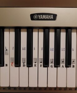 QMG Piano Stickers for 49/61/ 76/88 Key Keyboards – Transparent and Removable; Made in USA Sticker 28 61EglCojo4L