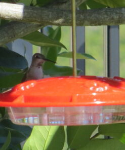 Alternative view of Aspects 367 Hummzinger Ultra Hummingbird Feeder, 12-Ounce,4 Feeding,Red